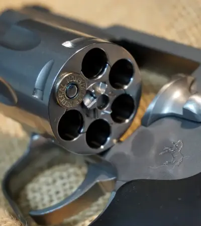 revolver 22