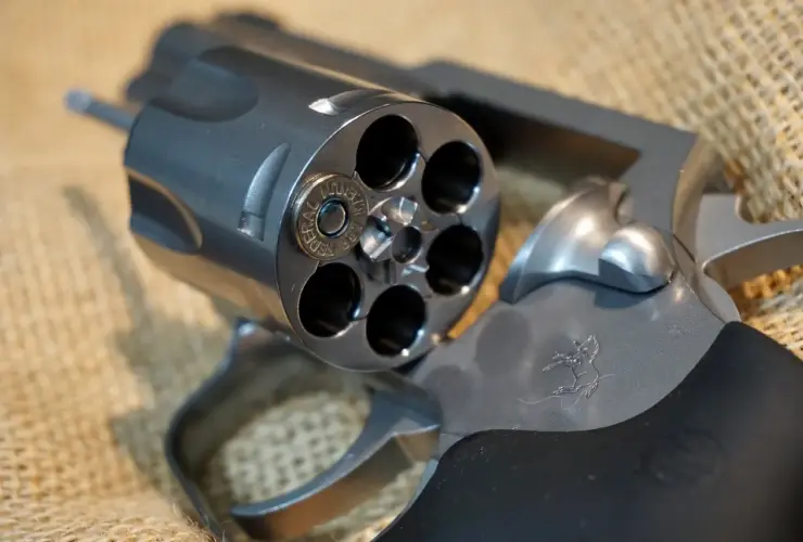 revolver 22